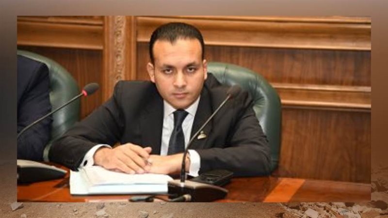 عمرو فهمي عضو مجلس