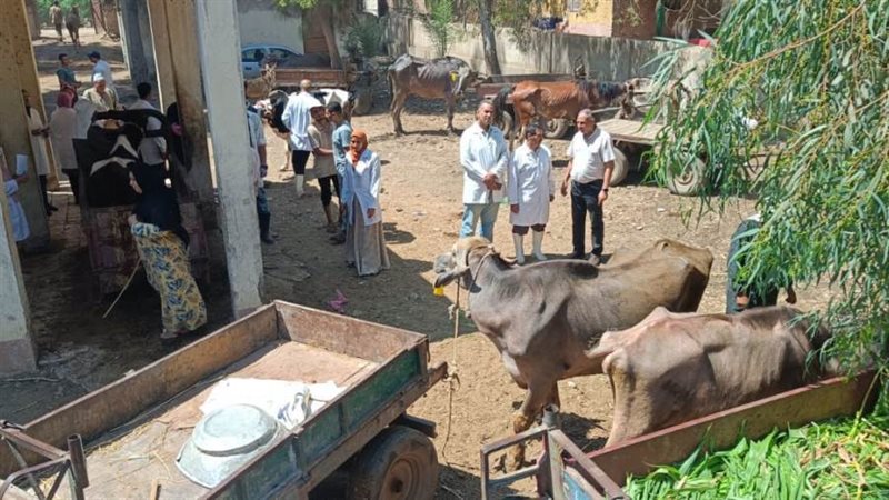 جانب من فعاليات القافلة