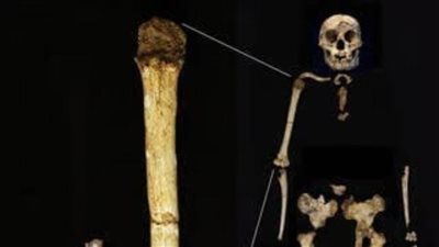 عاجل.. العثور على عظمة 