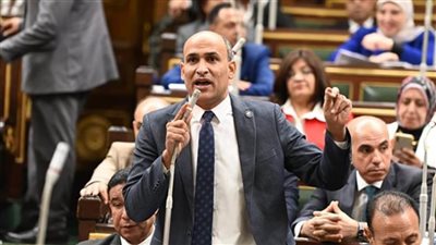 برلماني: حرص الرئيس على استخدام صلاحياته الدستورية في الإفراج عن المحبوسين يرسي حالة من التصالح المجتمعي