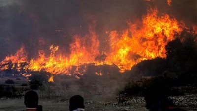 إخلاء عدة قرى يونانية جراء اندلاع حريق غابات بجزيرة 