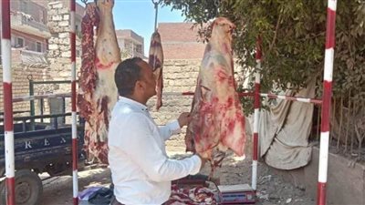 ضبط 57 مخالفة خلال حملات رقابية على المخابز والأسواق بالمنيا