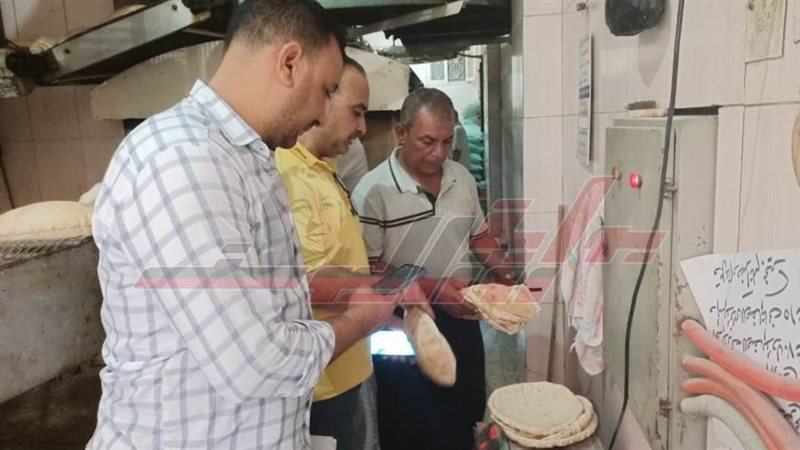 الحملات الرقابية