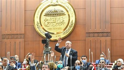 برلماني: المجزرة الإسرائيلية بمدرسة “التابعين” حرب إبادة لتصفية القضية الفلسطينية وكلنا خلف القيادة السياسية