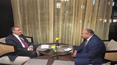 وزير الخارجية والهجرة والمصريين بالخارج يلتقي وزير خارجية تنزانيا