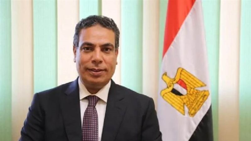 الدكتور عادل عبدالغفار