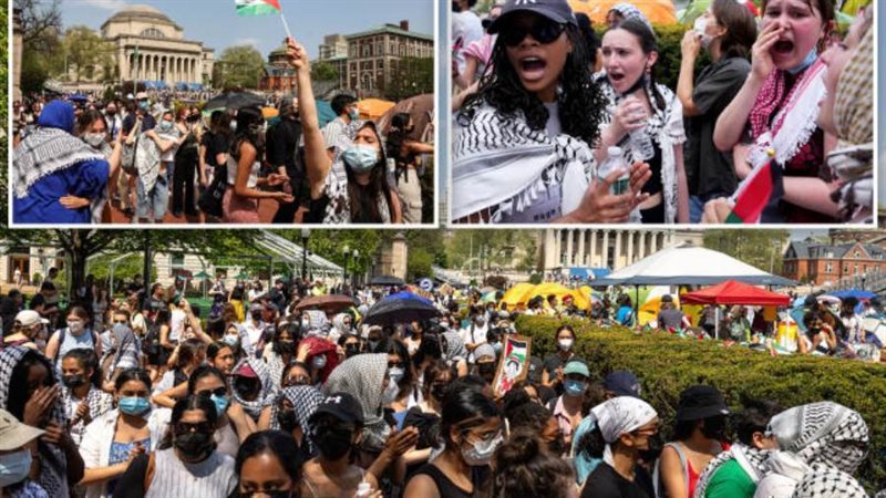 احتجاجات طلاب جامعة