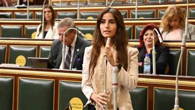 خارجية النواب: الحماية والرعاية الإنسانية جزء لا يتجزأ من نهج الجمهورية الجديدة