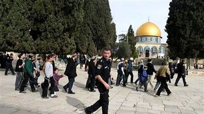 الهيئات والمرجعيات الإسلامية