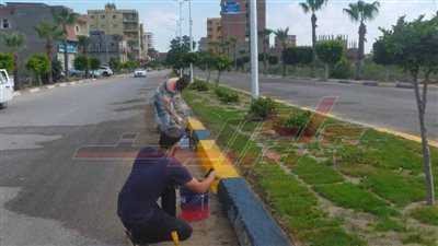 تجميل وتشجير ودهان الأرصفة ورفع كفاءة الإنارة العامة بمصيف بلطيم