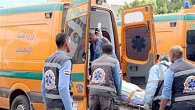 بالأسماء.. إصابة 3 بينهم طفل في انقلاب سيارة نقل بالوادي الجديد