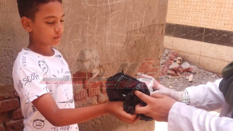 صحة كفرالشيخ