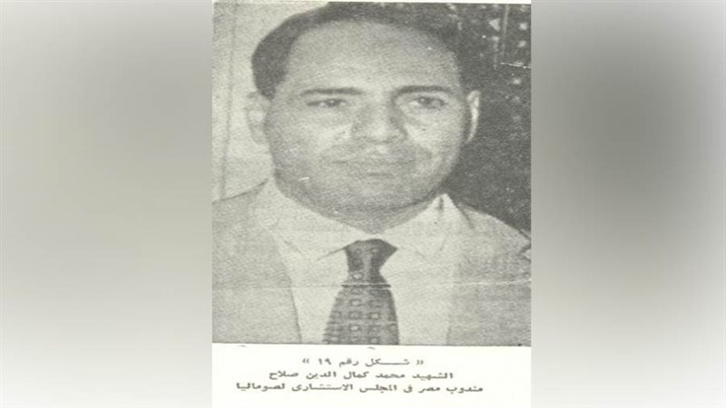 الدبلوماسي المصري