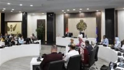 افتتاح ورشة عمل المبادرة الوطنية للمشروعات الخضراء الذكية بأسوان