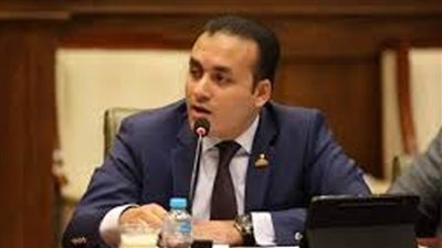 نائب بالشيوخ: الدولة تعمل على توطين وتطوير الصناعة لدعم الاقتصاد وتنميته