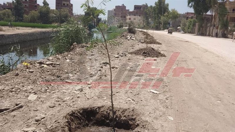 الأشجار التى تم زراعتها