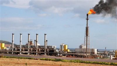 الجزائر: 14 اكتشافًا جديدًا للنفط والغاز منذ مطلع العام الجاري وحتى الشهر الماضي