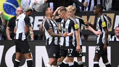 نيوكاسل يفلت من عقاب ساوثامبتون بهدف دون رد 
