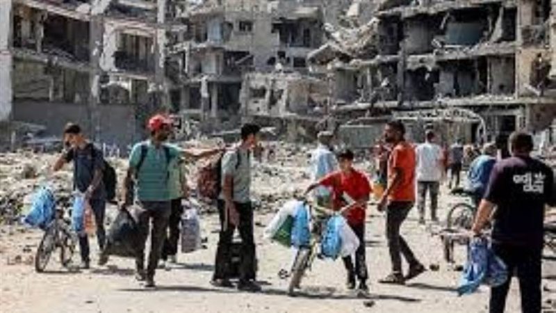 بوابة روز اليوسف