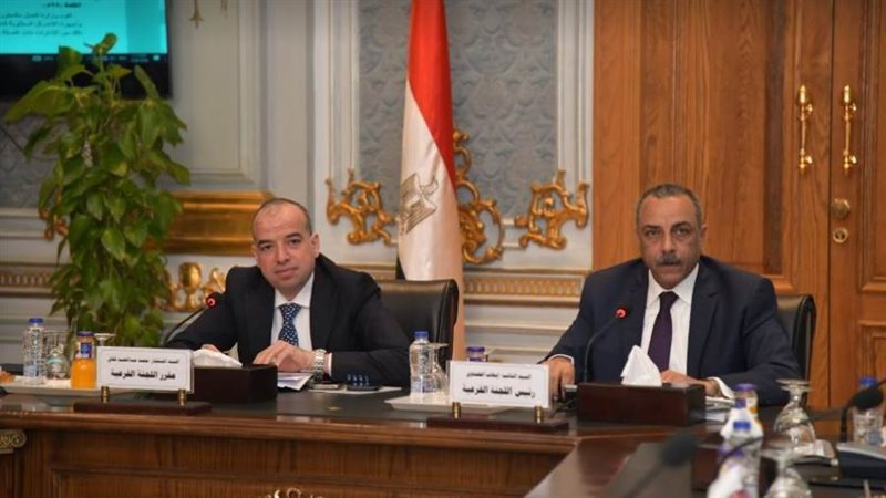 لجنة صياغة مشروع