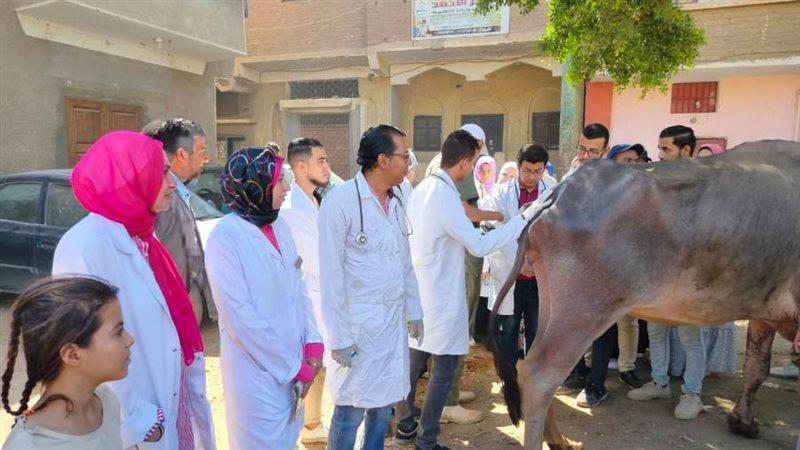 القافلة البيطرية