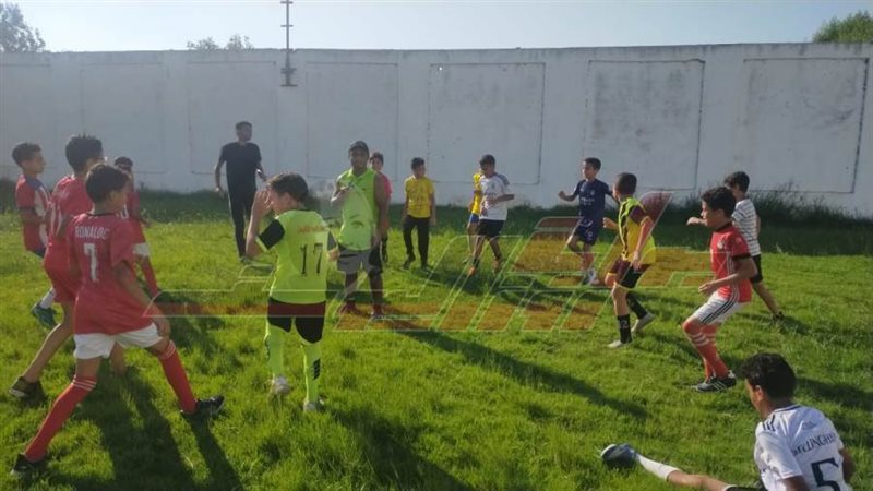 شباب كفرالشيخ