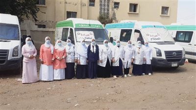 الكشف على 1032 مواطنًا بقافلة علاجية بالدقهلية