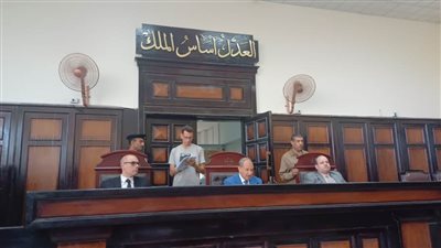 لدور شهر نوفمبر.. تأجيل محكمة 4 أشخاص متهمين بهتك عرض طفلة بالوادي الجديد