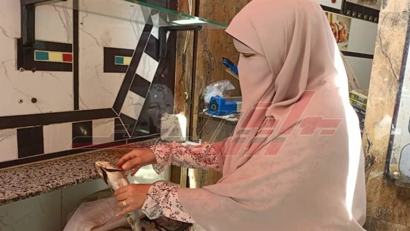 الحملات الرقابية