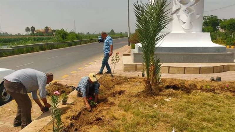 زراعة أشجار مثمرة