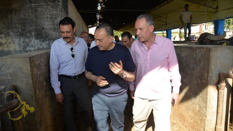 محافظ أسيوط يتفقد