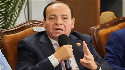 «أبو النصر»: قرار الرئيس السيسي بشأن الحبس الاحتياطي تُعزز الشفافية ومناخ الاستثمار