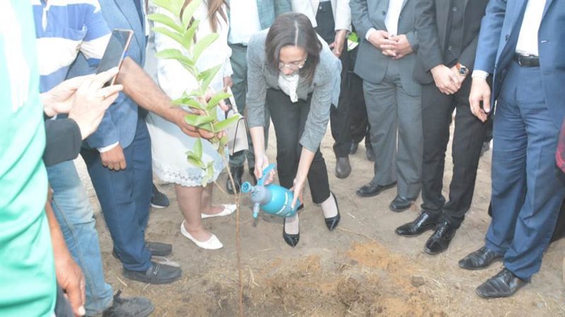 جانب من فعاليات مبادرة