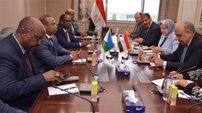 مصر ترحب بنقل خبراتها في الطاقة المتجددة وتنفيذ برامج تدريبية لدولة جيبوتي