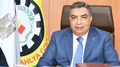 محافظ الدقهلية: مبادرة 