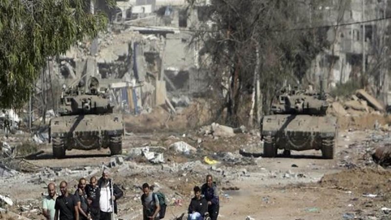 بوابة روز اليوسف