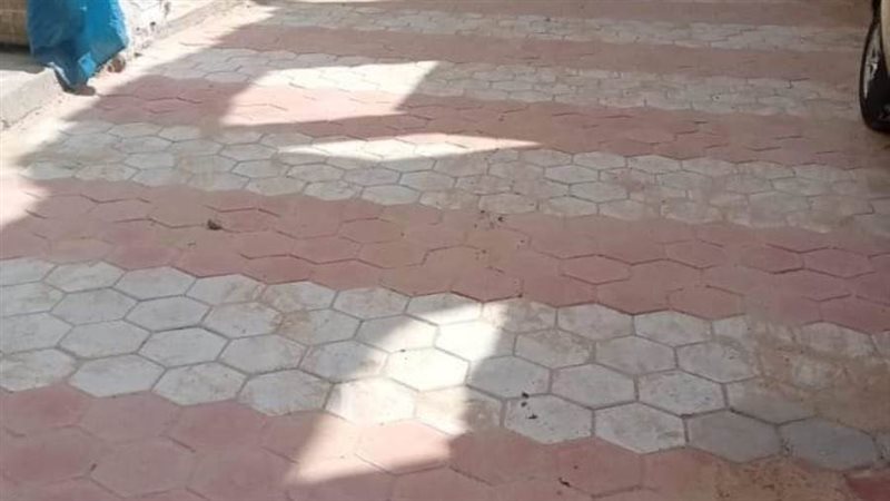 رصف شوارع عزبة العبيد