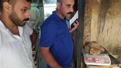  بالصور.. تحرير 33 محضر لمخابز بلدية خلال حملة تفتيشية بالغربية