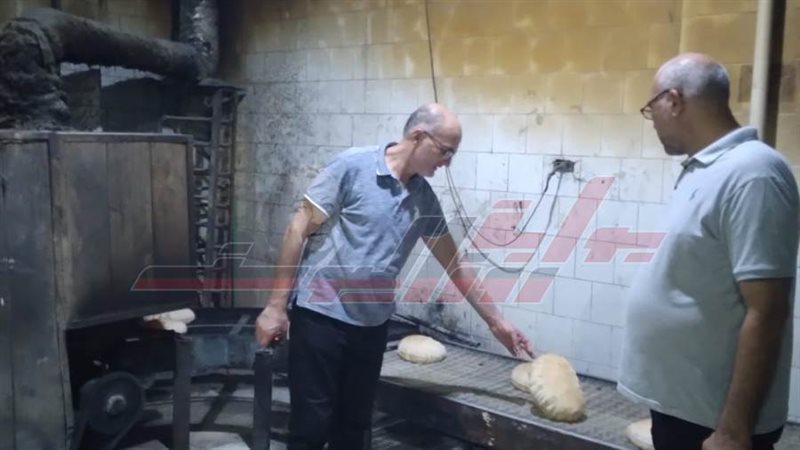 الحملات الرقابية