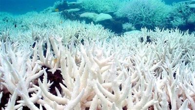 دراسة بحثية بـ