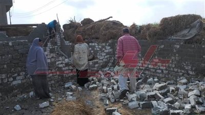 إزالة حالات التعدي على الأرض الزراعية بقلين في كفر الشيخ