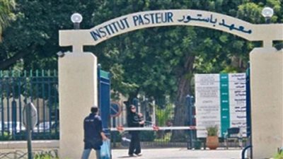 مع انتشار جدري القردة بوسط أفريقيا.. معهد أبحاث دولي يعتزم تشكيل جبهة موحدة