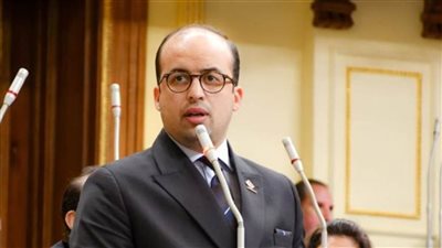 نائب التنسيقية: مصر لن تقبل بأي شكل تهديد أمنها القومي