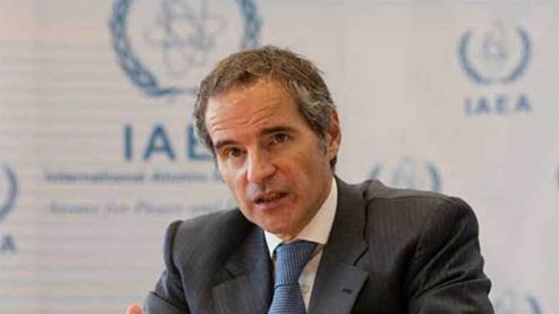 رافائيل جروسي المدير