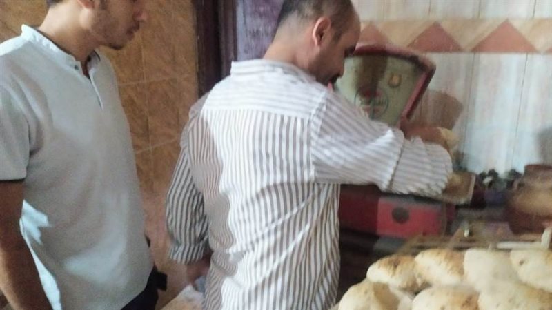 جانب من الحملة على