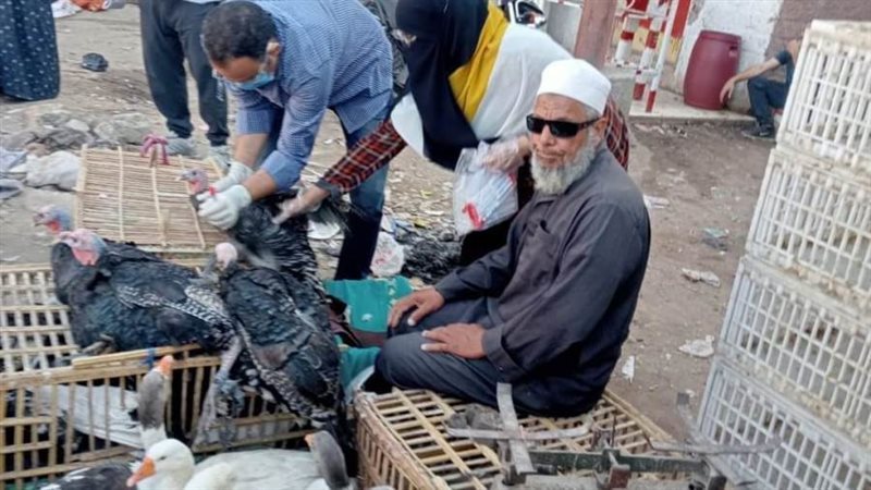 تحصين الطيور