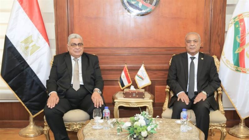 مجلس الدولة