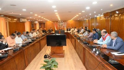 محافظ أسيوط يلتقي وفد دار الهندسة لمناقشة معدلات تنفيذ مشروعات المبادرة الرئاسية حياة كريمة 