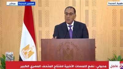 مدبولي: الحكومة ضخت نحو 10 مليارات جنيه لهيئة الشراء الموحد خلال الشهرين الماضيين لسد مستلزمات لشركات الأدوية