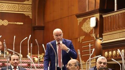 حازم الجندي: القاهرة الإخبارية وإكسترا نيوز قدمتا تغطية احترافية ومضمونهما اتسم بالتنوع